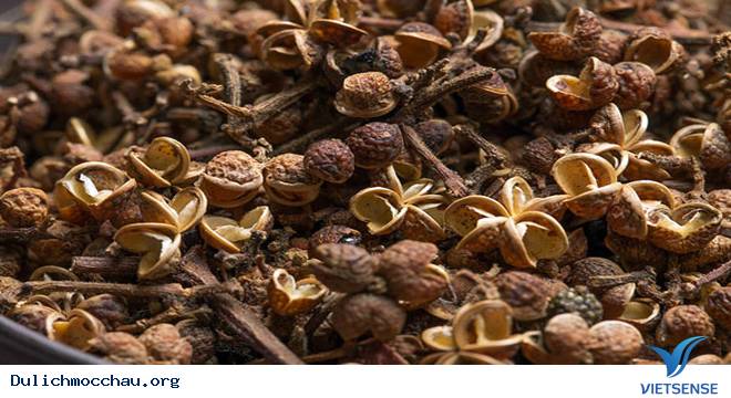 Nộm Da Trâu - Đặc Sản Của Người Dân Tộc Thái Ở Sơn La - Ảnh 2 Nộm Da Trâu - Đặc Sản Của Người Dân Tộc Thái Ở Sơn La - Ảnh 2