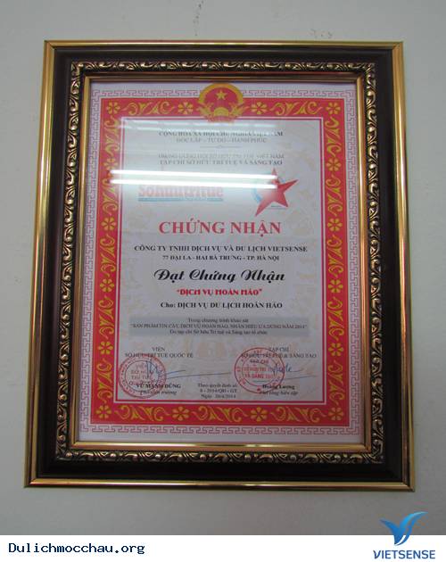 Quá Trình Hình Thành Và Phát Triển Của Công Ty VietSense
 - Ảnh 2