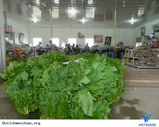 Rau cải người Mèo được bày bán tại quán 70