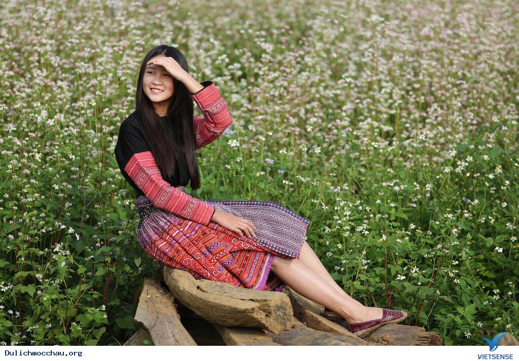 Rực Rỡ Sắc Màu Của Những Loài Hoa Dại Tháng 11, 12 Ở Mộc Châu - Ảnh 4