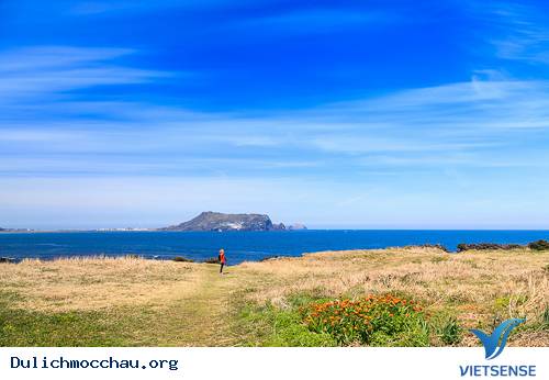 Sắc Xuân Lãng Mạn Trên Đảo Jeju - Ảnh 3 Sắc Xuân Lãng Mạn Trên Đảo Jeju - Ảnh 3