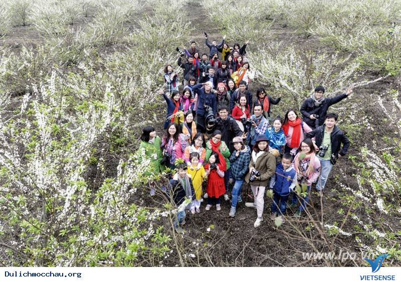 Say Lòng Nét Đẹp Mùa Hoa Mận Trắng Mộc Châu - Ảnh 11