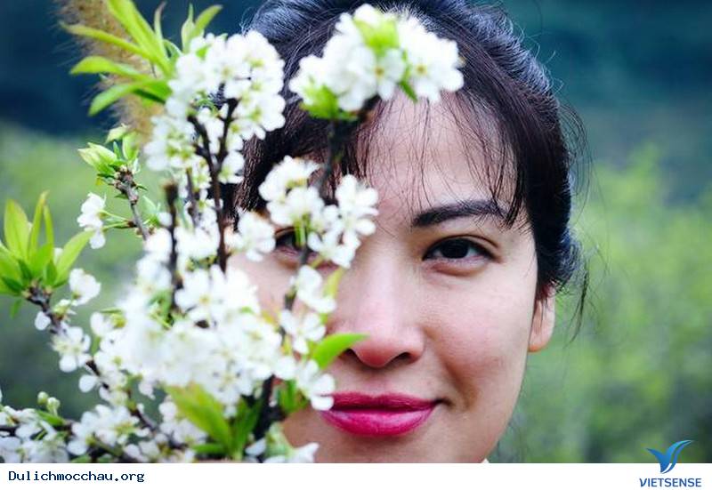 Say Lòng Nét Đẹp Mùa Hoa Mận Trắng Mộc Châu - Ảnh 6