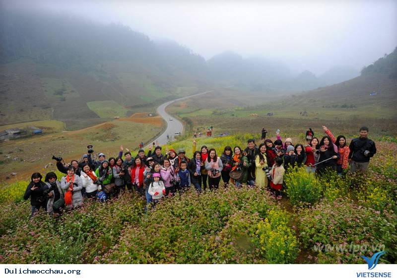 Say Lòng Nét Đẹp Mùa Hoa Mận Trắng Mộc Châu - Ảnh 15