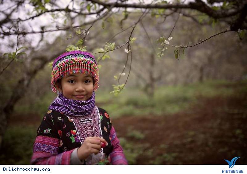 Say Lòng Nét Đẹp Mùa Hoa Mận Trắng Mộc Châu - Ảnh 10