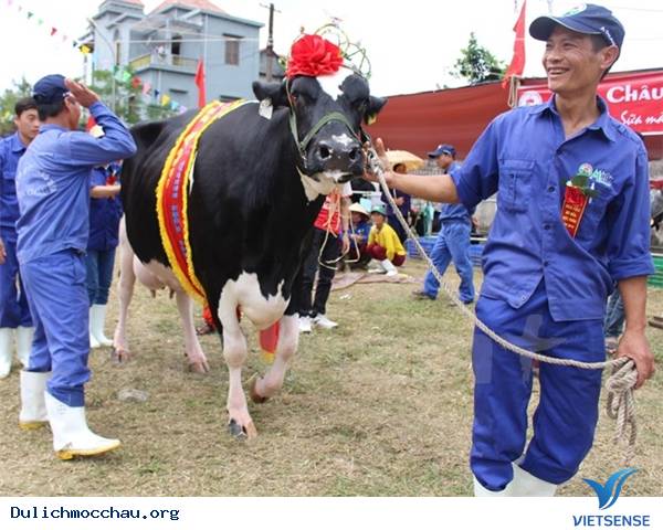 Tất Tần Tật Những Điều Bạn Chưa Biết Về Mộc Châu - Ảnh 2