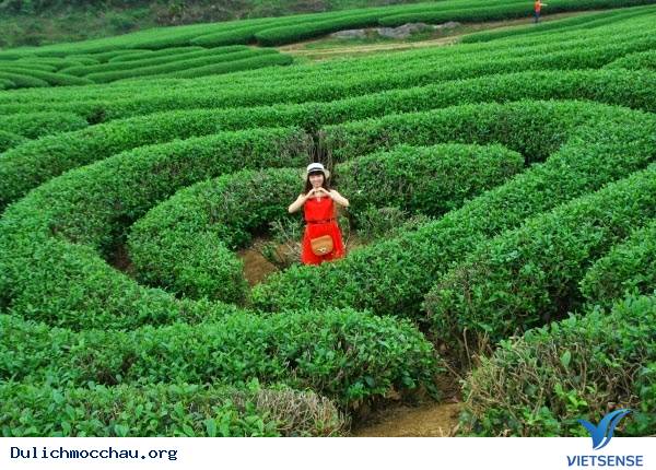 Tất Tần Tật Những Điều Bạn Chưa Biết Về Mộc Châu - Ảnh 4