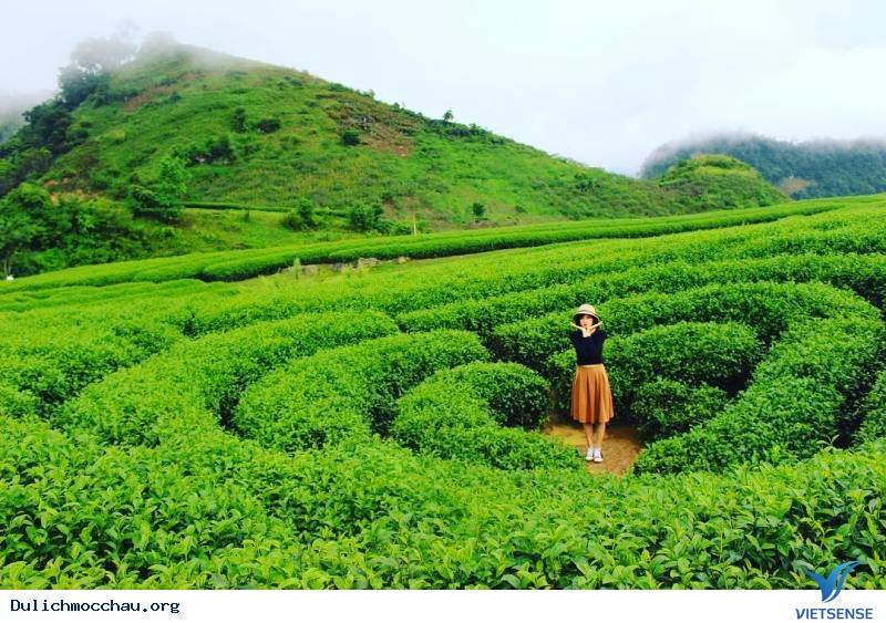 Tháng 11 về với Mộc Châu thơ mộng - Ảnh 1