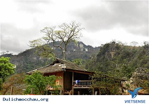 Tháng 3, Ngỡ Ngàng Mộc Châu Mùa Hoa Ban Nở - Ảnh 6