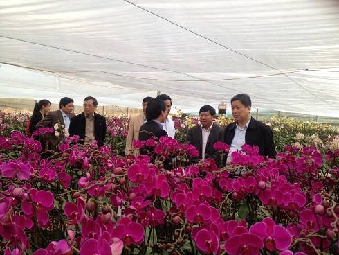 Thứ Trưởng Bộ VHTTDL Hồ Anh Tuấn Thăm Và Làm Việc Tại Mộc Châu - Ảnh 1 Thứ Trưởng Bộ VHTTDL Hồ Anh Tuấn Thăm Và Làm Việc Tại Mộc Châu - Ảnh 1