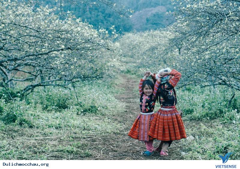 Thung Lũng Mận Nà Ka - Thiên Đường Giữa Lưng Chừng Mây - Ảnh 4