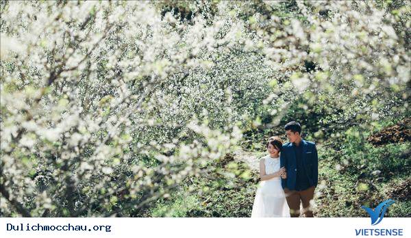 Thung Lũng Mận Nà Ka - Thiên Đường Giữa Lưng Chừng Mây - Ảnh 7