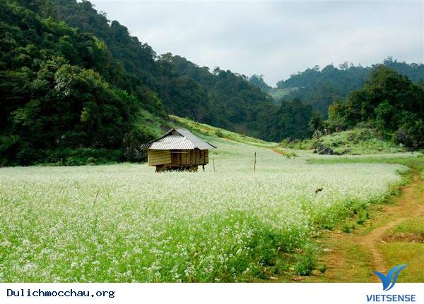 Cách di chuyển Hà Nội – Mộc Châu