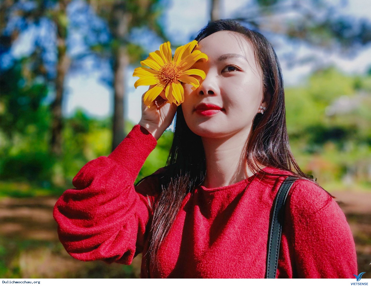 hành trình Mộc châu Mùa của hoa Dã Quỳ tháng 10, tháng 11