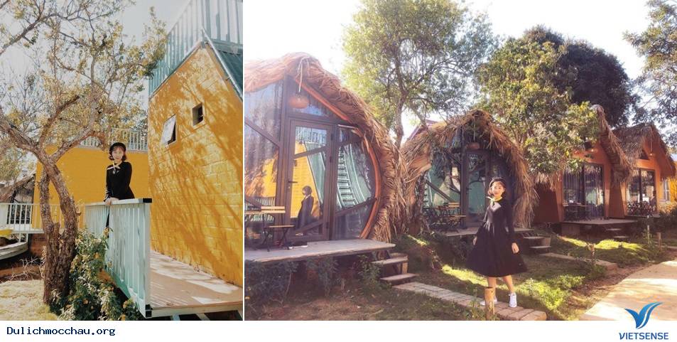 Top 5 homestay Mộc Châu cho bạn những bức ảnh chất lừ - Ảnh 4