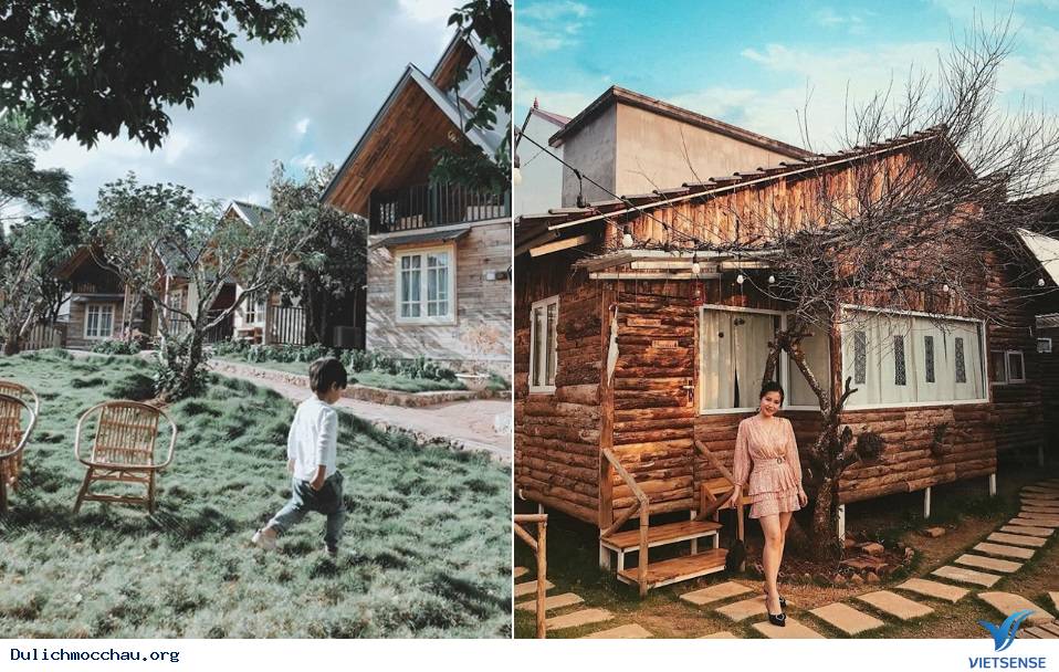 Top 5 homestay Mộc Châu cho bạn những bức ảnh chất lừ - Ảnh 1