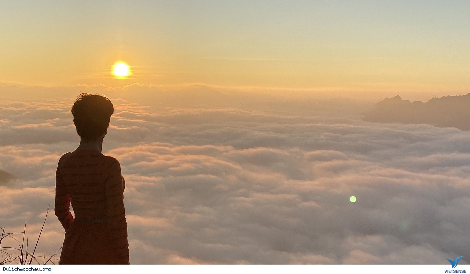 Chương trình Mộc Châu Mùa hoa mơ hoa mận - Săn Mây Tà Xùa - Ảnh 4