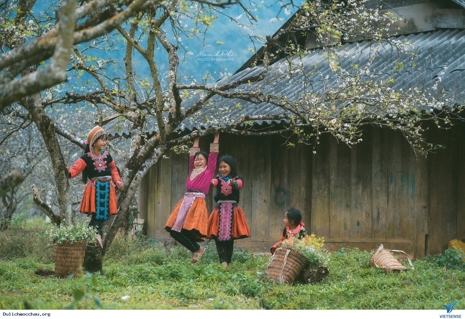 chương trình Hà Nội - Mai Châu - Mộc Châu Tết Âm Lịch 2025 - Ảnh 1