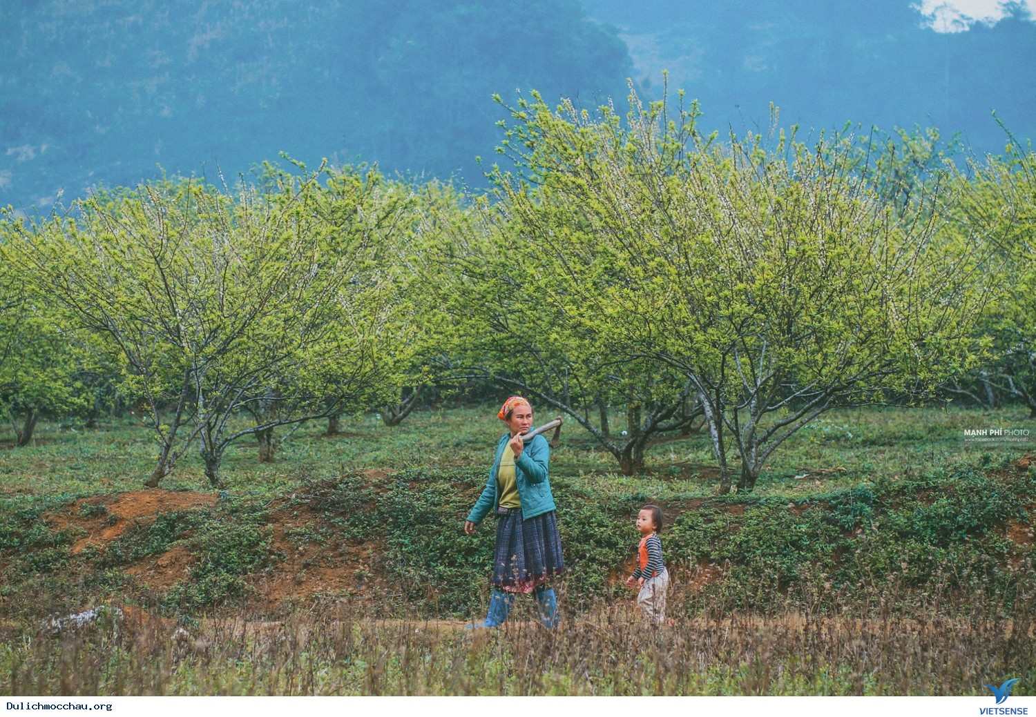 chương trình Hà Nội - Mai Châu - Mộc Châu Tết Âm Lịch 2025 - Ảnh 2