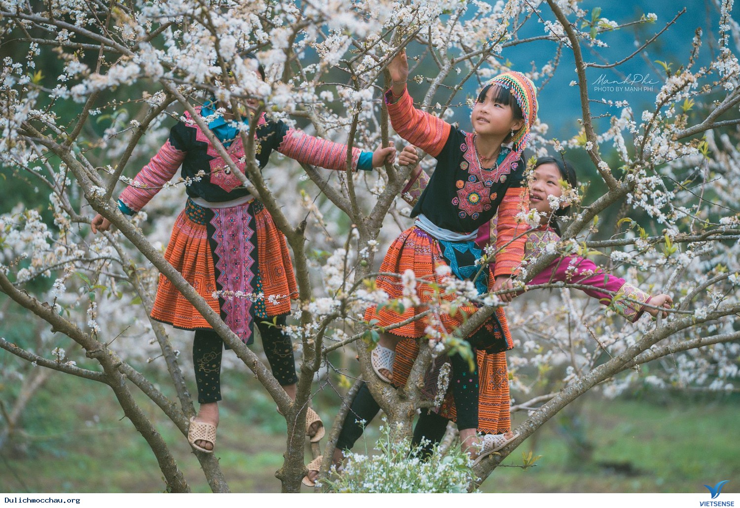 HN - Mộc Châu - Sơn La - Điện Biên Tết Âm Lịch 2025 - Ảnh 2 HN - Mộc Châu - Sơn La - Điện Biên Tết Âm Lịch 2025 - Ảnh 2