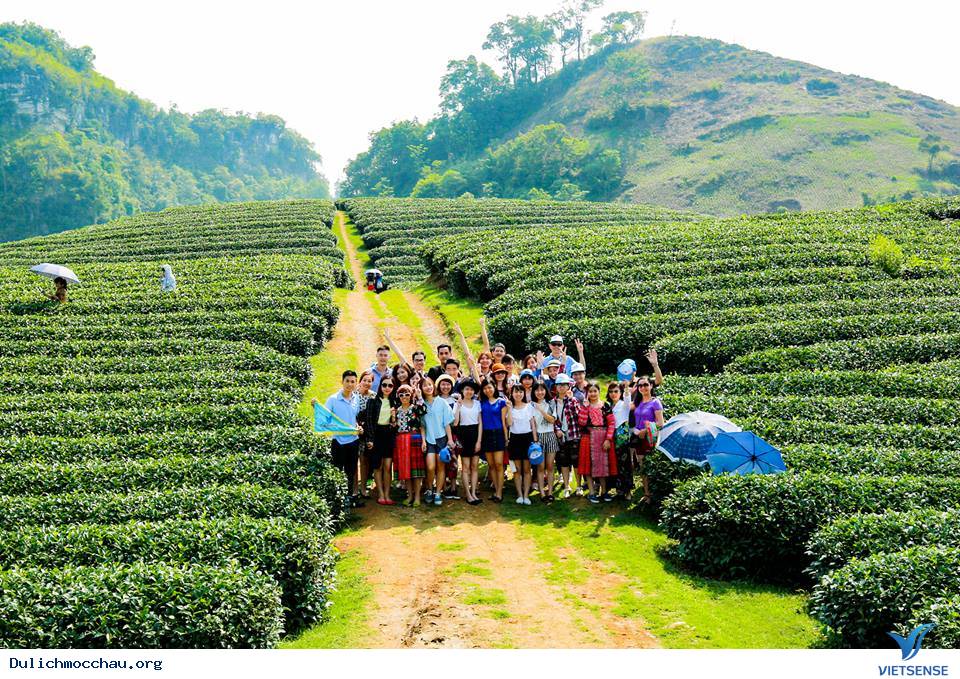 TOUR HÀ NỘI - MAI CHÂU - MỘC CHÂU - LỄ HỘI HẾT CHÁ - Ảnh 1 TOUR HÀ NỘI - MAI CHÂU - MỘC CHÂU - LỄ HỘI HẾT CHÁ - Ảnh 1