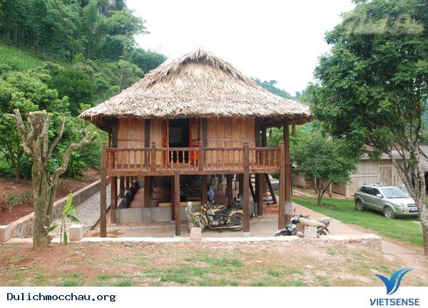 Trải Nghiệm Du Lịch Homestay Tại Bản Dọi - Mộc Châu - Ảnh 1 Trải Nghiệm Du Lịch Homestay Tại Bản Dọi - Mộc Châu - Ảnh 1