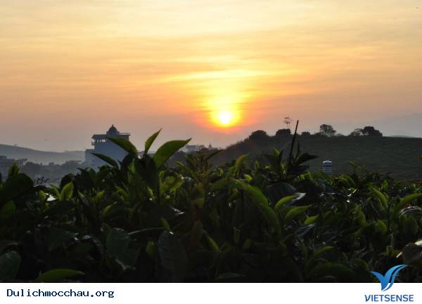 Tránh Nóng Mùa Hè Ở Mộc Châu - Ảnh 7 Tránh Nóng Mùa Hè Ở Mộc Châu - Ảnh 7