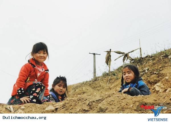 Trẻ Em Hồn Nhiên Vui Đùa Giữa Rừng Mận Trắng Mộc Châu - Ảnh 2