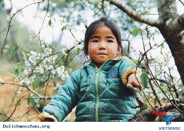 Trẻ Em Hồn Nhiên Vui Đùa Giữa Rừng Mận Trắng Mộc Châu - Ảnh 15