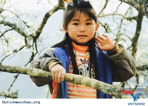 Trẻ Em Hồn Nhiên Vui Đùa Giữa Rừng Mận Trắng Mộc Châu - Ảnh 19