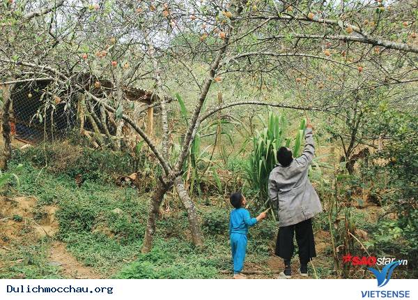 Trẻ Em Hồn Nhiên Vui Đùa Giữa Rừng Mận Trắng Mộc Châu - Ảnh 9