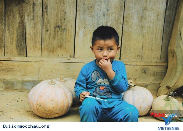 Trẻ Em Hồn Nhiên Vui Đùa Giữa Rừng Mận Trắng Mộc Châu - Ảnh 8