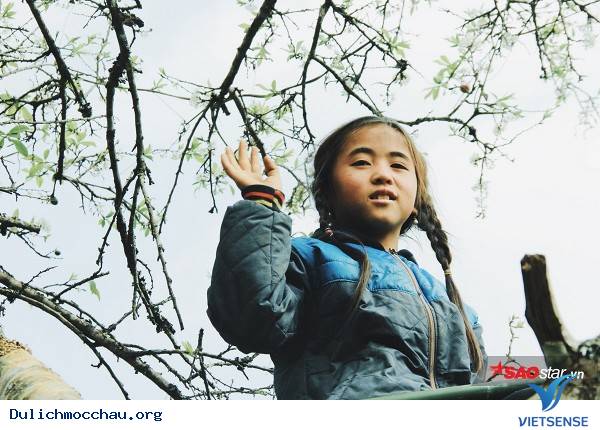 Trẻ Em Hồn Nhiên Vui Đùa Giữa Rừng Mận Trắng Mộc Châu - Ảnh 13