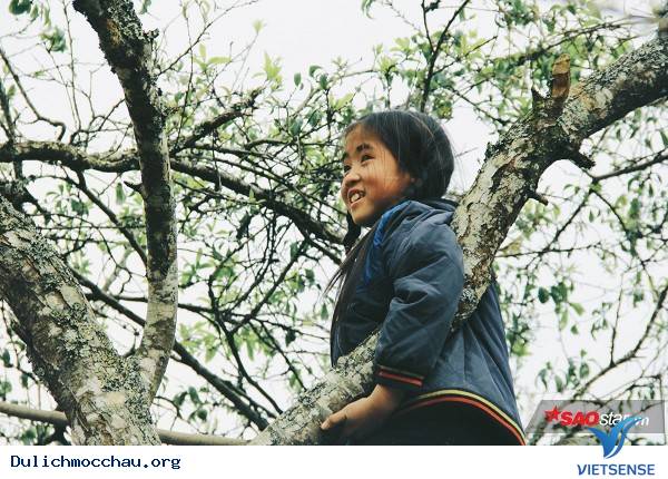 Trẻ Em Hồn Nhiên Vui Đùa Giữa Rừng Mận Trắng Mộc Châu - Ảnh 11