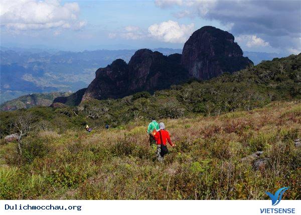 Vẻ Đẹp Mùa Đông Mộc Châu - Ảnh 10 Vẻ Đẹp Mùa Đông Mộc Châu - Ảnh 10