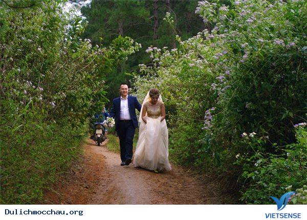 Vẻ Đẹp Mùa Đông Mộc Châu - Ảnh 7 Vẻ Đẹp Mùa Đông Mộc Châu - Ảnh 7