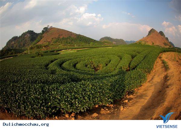 Vẻ Đẹp Mùa Đông Mộc Châu - Ảnh 5 Vẻ Đẹp Mùa Đông Mộc Châu - Ảnh 5