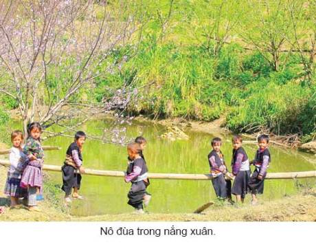 Vẻ Đẹp Phiêng Cành Trong Những Ngày Đầu Xuân - Ảnh 4 Vẻ Đẹp Phiêng Cành Trong Những Ngày Đầu Xuân - Ảnh 4