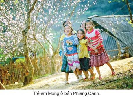 Vẻ Đẹp Phiêng Cành Trong Những Ngày Đầu Xuân - Ảnh 2 Vẻ Đẹp Phiêng Cành Trong Những Ngày Đầu Xuân - Ảnh 2