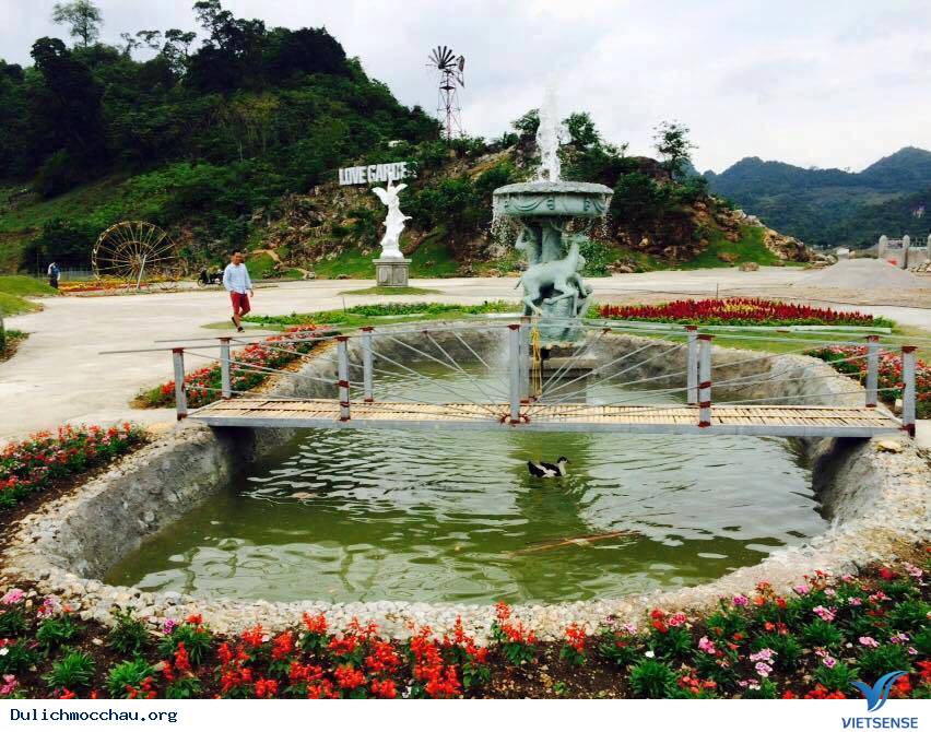 Vườn Hoa Love Garden - Điểm Đến Thú Vị Mới Nổi Ở Mộc Châu - Ảnh 8 Vườn Hoa Love Garden - Điểm Đến Thú Vị Mới Nổi Ở Mộc Châu - Ảnh 8