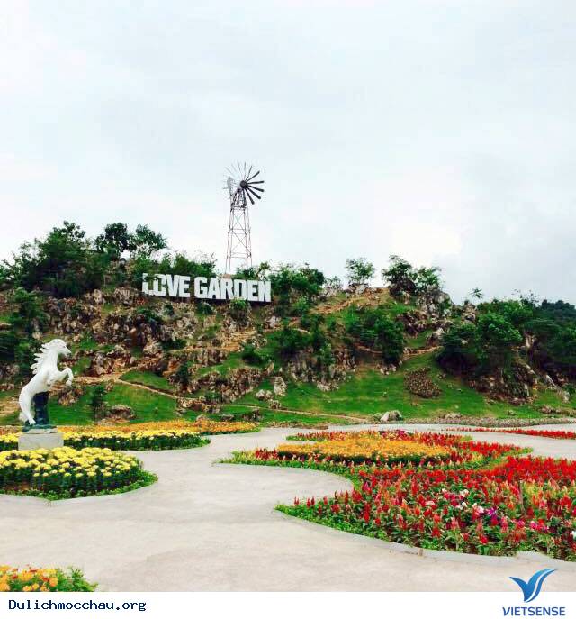 Vườn Hoa Love Garden - Điểm Đến Thú Vị Mới Nổi Ở Mộc Châu - Ảnh 2 Vườn Hoa Love Garden - Điểm Đến Thú Vị Mới Nổi Ở Mộc Châu - Ảnh 2