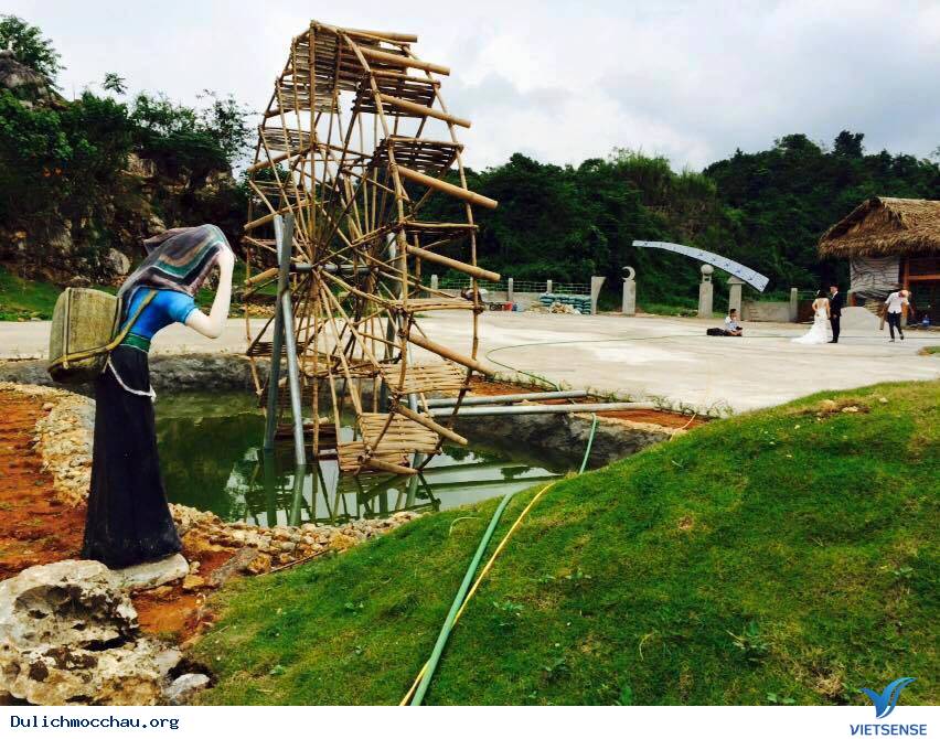 Vườn Hoa Love Garden - Điểm Đến Thú Vị Mới Nổi Ở Mộc Châu - Ảnh 9 Vườn Hoa Love Garden - Điểm Đến Thú Vị Mới Nổi Ở Mộc Châu - Ảnh 9