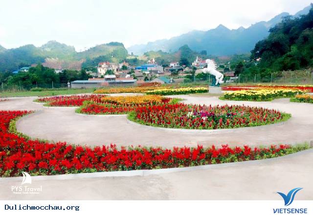 Vườn Hoa Love Garden - Điểm Đến Thú Vị Mới Nổi Ở Mộc Châu - Ảnh 3 Vườn Hoa Love Garden - Điểm Đến Thú Vị Mới Nổi Ở Mộc Châu - Ảnh 3