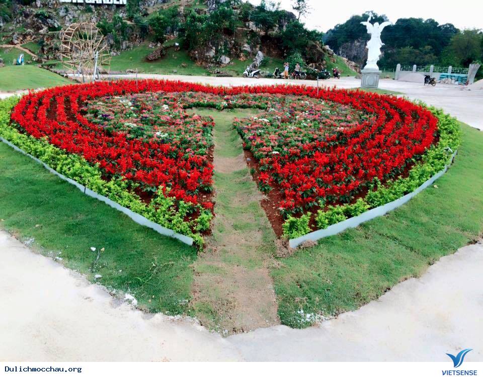 Vườn Hoa Love Garden - Điểm Đến Thú Vị Mới Nổi Ở Mộc Châu - Ảnh 6 Vườn Hoa Love Garden - Điểm Đến Thú Vị Mới Nổi Ở Mộc Châu - Ảnh 6