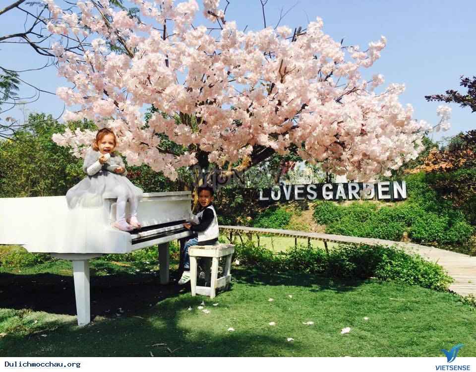 Vườn Hoa Love Garden - Điểm Đến Thú Vị Mới Nổi Ở Mộc Châu - Ảnh 5 Vườn Hoa Love Garden - Điểm Đến Thú Vị Mới Nổi Ở Mộc Châu - Ảnh 5
